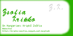 zsofia kripko business card